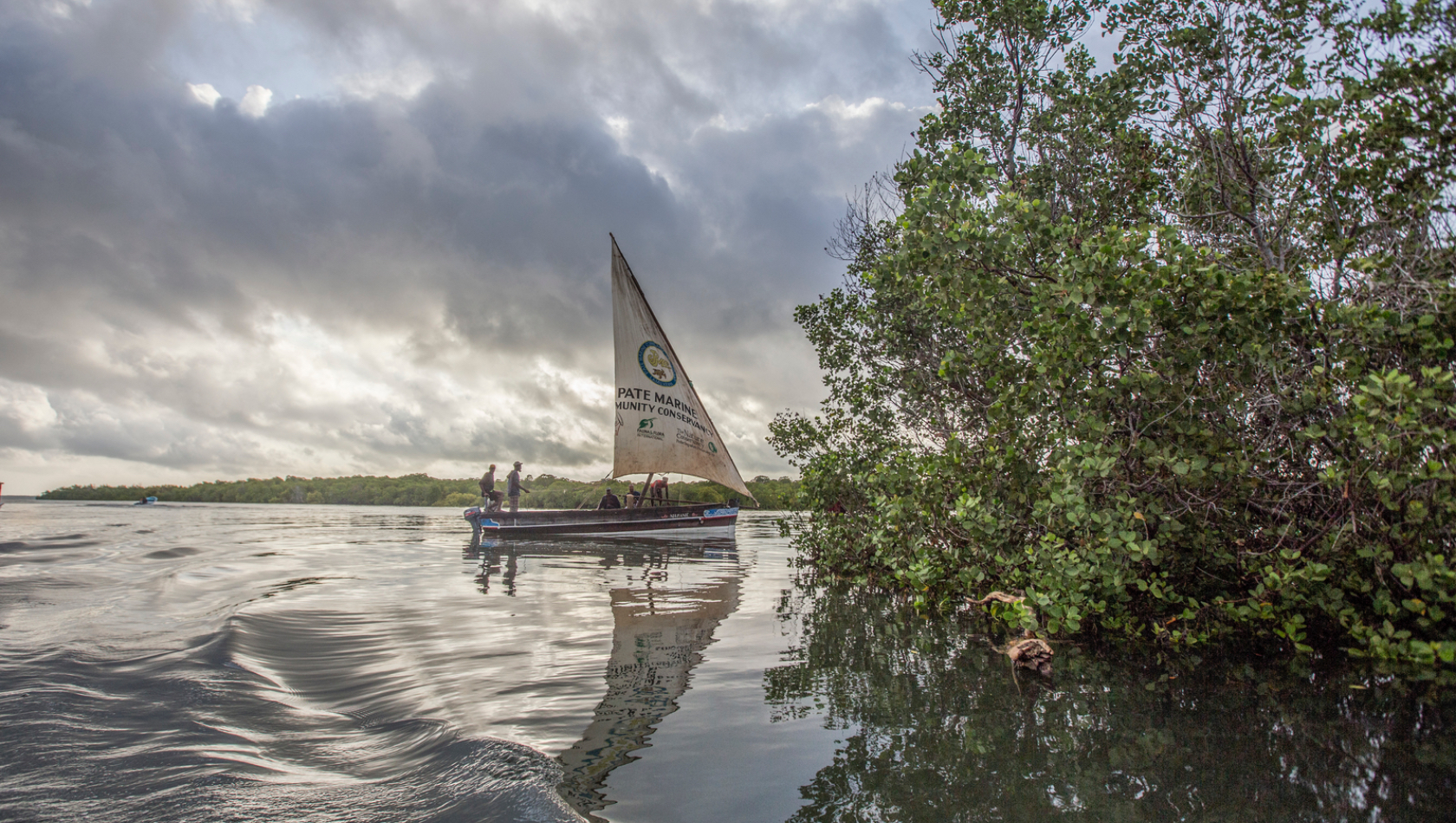 fishing boat near mangroves
