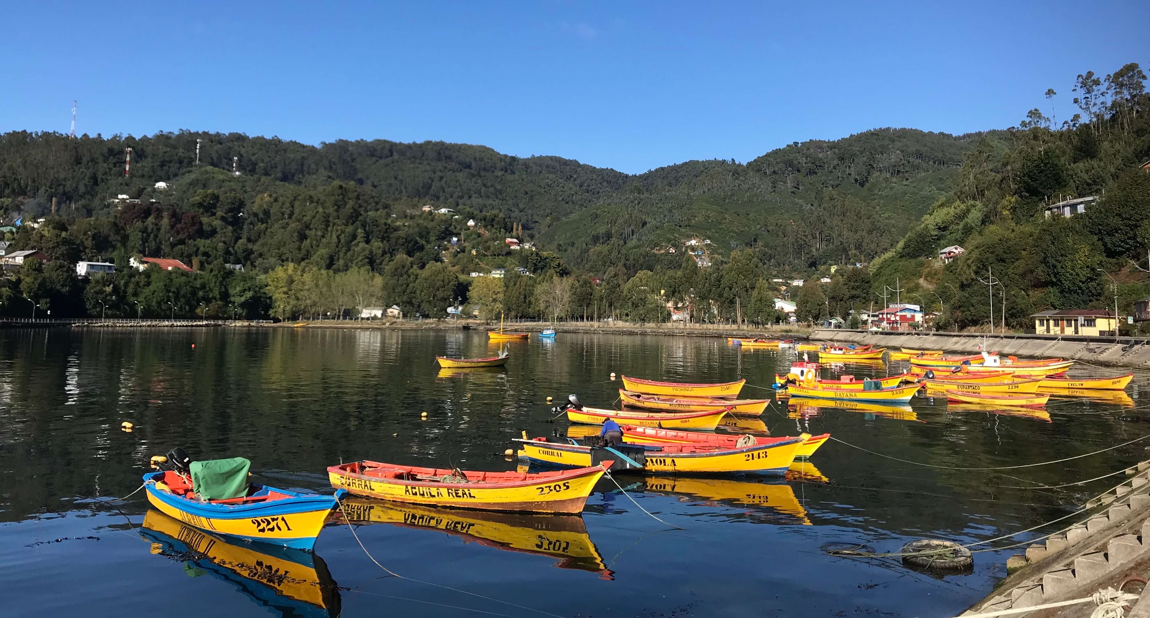 small scale fishing chile