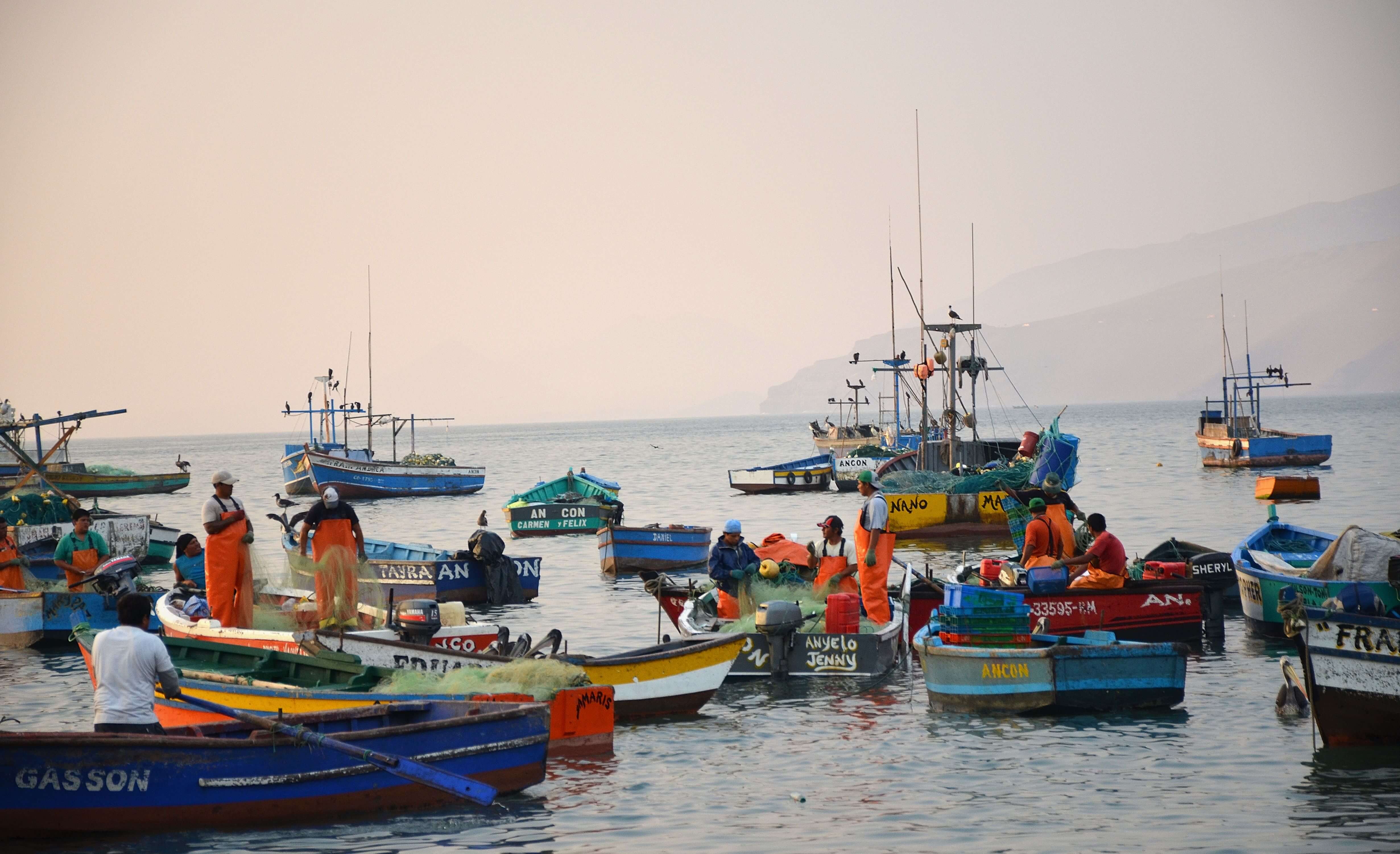 small scale fishing vessels peru