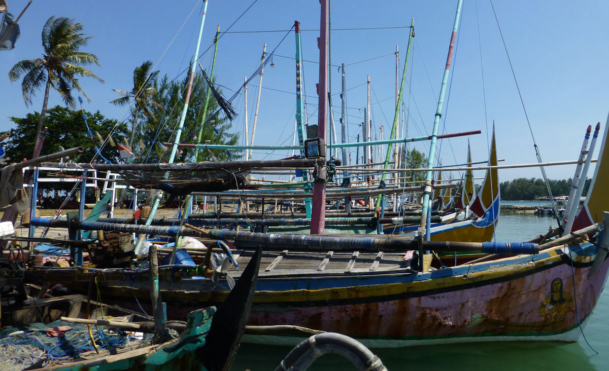 barcos de pequena escala