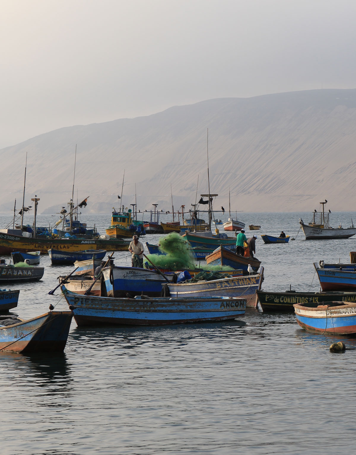 barcos de pequena escala