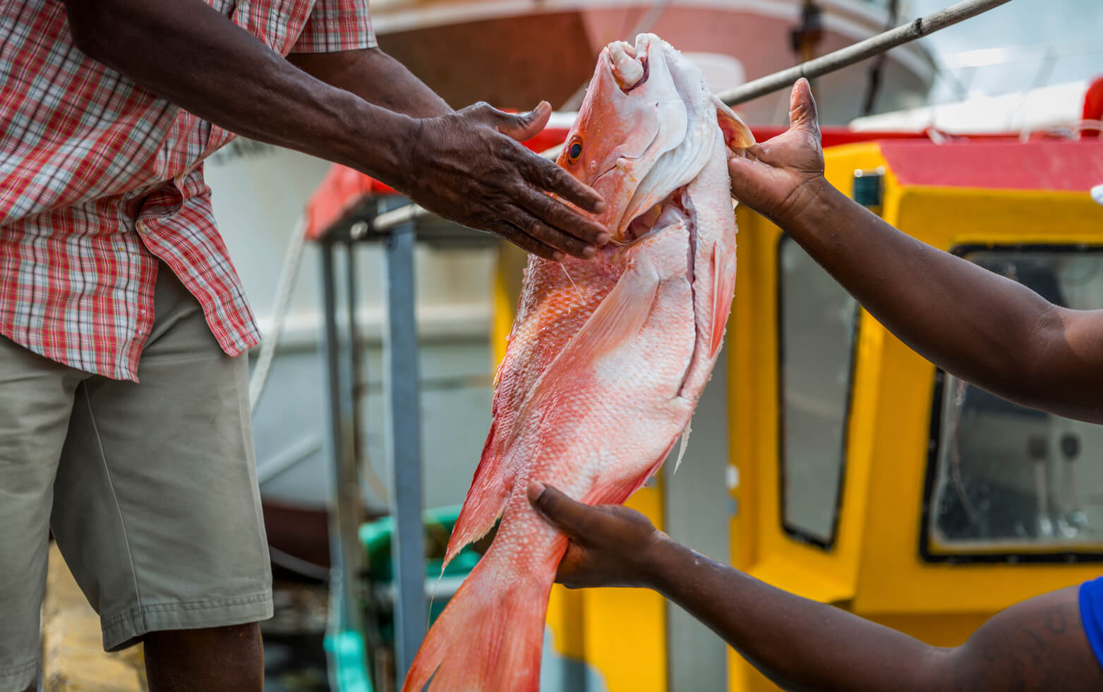 pesca en seychelles