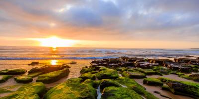 new south wales beach